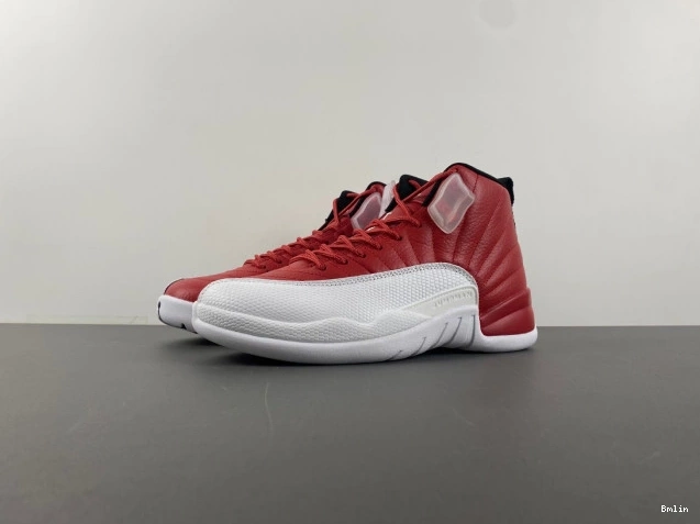 Jordan 130690-600 Air 12 Alternate 0709